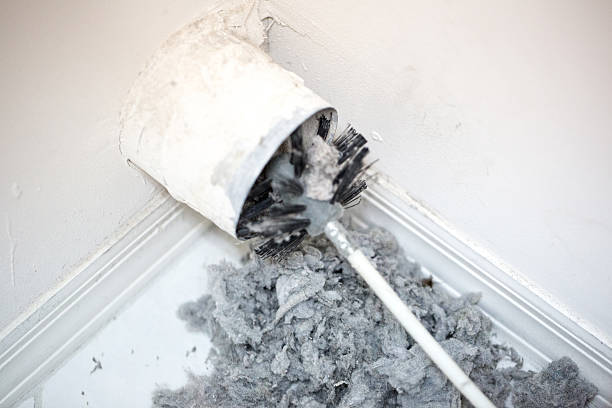 Best Affordable Air Duct Cleaning  in USA